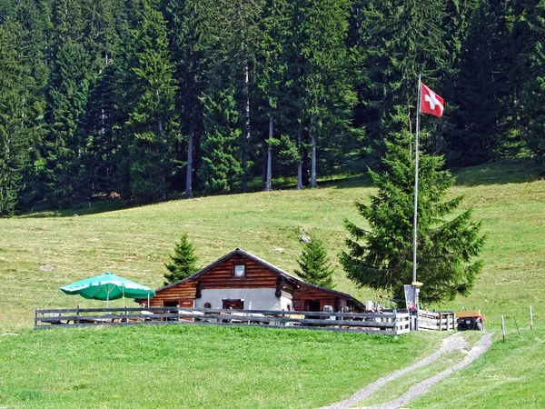 Viehwirtschaft Und Traditionelle Architektur Der Bündner Herrschaft Und Rheintal Mainfeld — Stockfoto