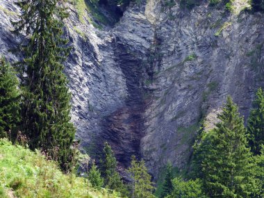 Şelale Şelalesi Hochfall (Wassersturz Hochfall veya Wasserfall Hochfall) Ren Nehri Vadisi, Mainfeld - Grisonlar Kantonu (Graubunden veya Graubuenden), İsviçre