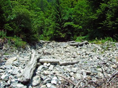 Mainfeld yerleşim bölgesindeki sel veya mevsimlik bir akarsuyun kurak nehir yatağı - Grisonlar Kantonu (Graubunden veya Graubuenden), İsviçre
