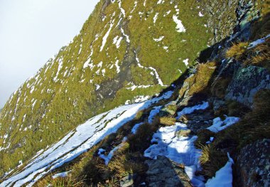 Ratikon sınırındaki Alp dağı kütlesi veya Raetikon Grenzmassiv ve Ren Vadisi (Rheintal), Mainfeld Kantonu - Grisonlar Kantonu (Graubunden veya Graubuenden), İsviçre