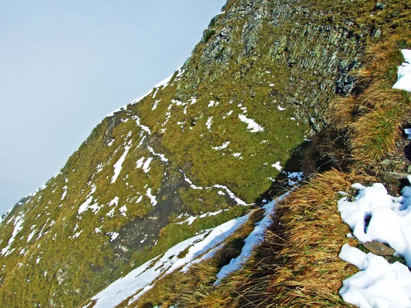 Première Neige Sur Frontière Ratikon Massif Alpin Raetikon Grenzmassiv Sur — Photo