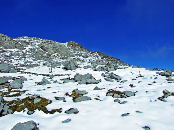 Primera Nieve Macizo Montañoso Alpino Fronterizo Ratikon Raetikon Grenzmassiv Sobre — Foto de Stock