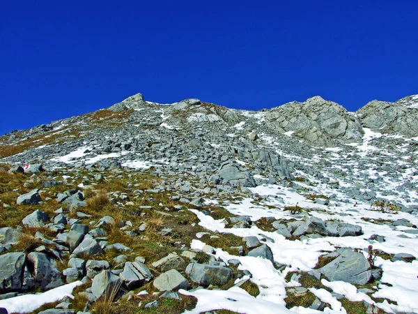 Cima Alpina Falknis Nel Massiccio Del Confine Ratikon Raetikon Grenzmassiv — Foto Stock