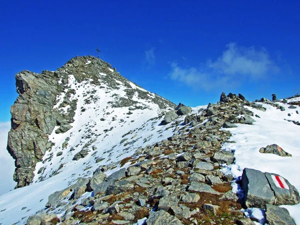 Pico Alpino Falknis Macizo Fronterizo Ratikon Raetikon Grenzmassiv Sobre Valle — Foto de Stock