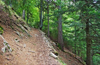 Ratikon sınır dağ kütlesi veya Ratikon Grenzmassiv (oder Raetikon), Mainfeld - Grisonlar Kantonu (Graubunden veya Graubuenden), İsviçre