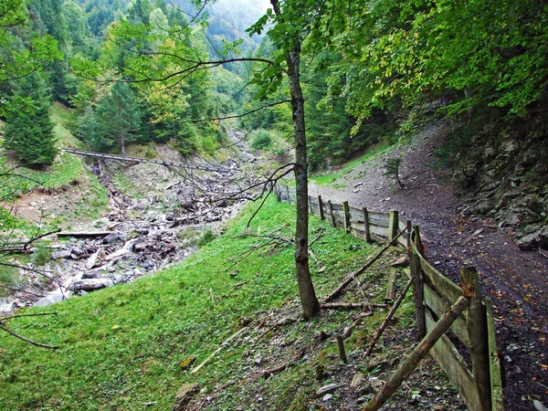 Senderismo Marcado Senderos Para Caminar Macizo Montaña Fronterizo Ratikon Ratikon — Foto de Stock