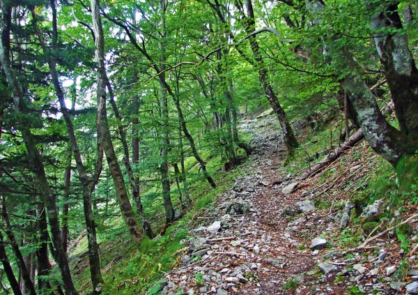 Sentiers Randonnée Randonnée Balisés Sur Massif Montagneux Frontière Ratikon Ratikon — Photo
