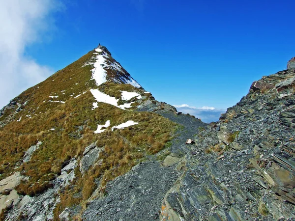 Gemarkeerde Wandel Wandelpaden Het Grensgebergte Van Ratikon Ratikon Grenzmassiv Oder — Stockfoto