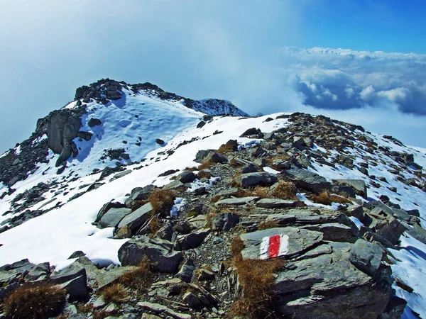 Gemarkeerde Wandel Wandelpaden Het Grensgebergte Van Ratikon Ratikon Grenzmassiv Oder — Stockfoto