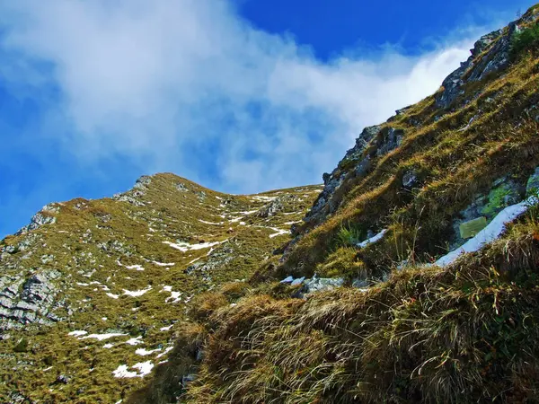 Αλπικοί Βοσκότοποι Στον Ορεινό Ορεινό Ορεινό Όγκο Του Ratikon Στο — Φωτογραφία Αρχείου