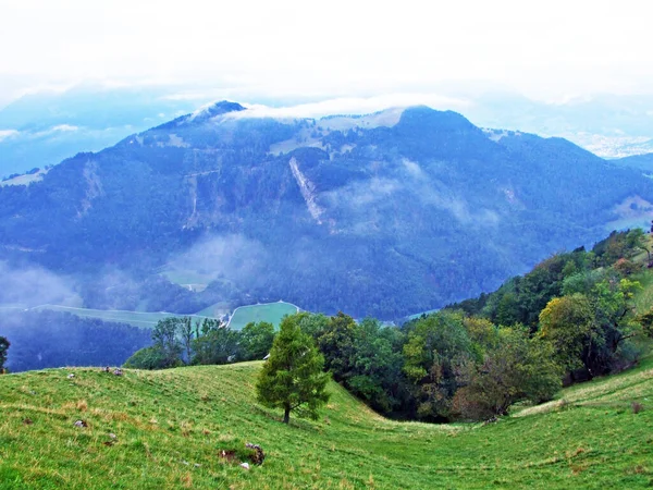 スイス グラウビュンデンまたはグラウビュンデンにあるマインフェルド 英語版 のバンドナー ヘルフク またはベンダー ヘルフク 地域のアルプスの斜面に混在した森林と間伐材 — ストック写真