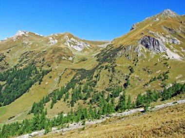 Ratikon sınır dağ kütlesi veya Raetikon Grenzmassiv, Mainfeld - Grisonlar Kantonu (Graubunden veya Graubuenden), İsviçre