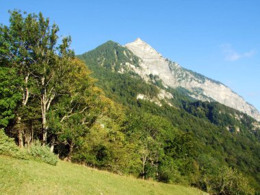 Ratikon sınır dağ kütlesi veya Raetikon Grenzmassiv, Mainfeld - Grisonlar Kantonu (Graubunden veya Graubuenden), İsviçre