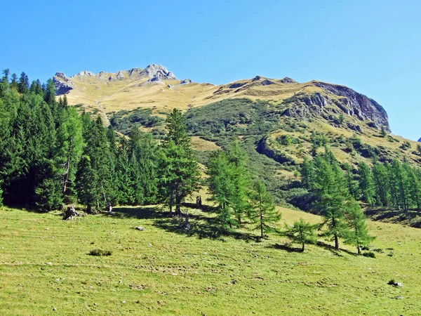 瑞士Grisons州 Graubunden或Graubuenden 的Ratikon边境高山地块或Raetikon Grenzmassiv的风景秀丽的山峰 — 图库照片