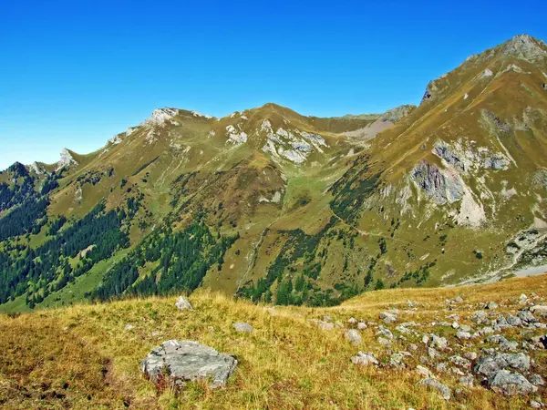 Blick Auf Die Malerischen Gipfel Des Grenzgebirges Ratikon Oder Raetikon — Stockfoto