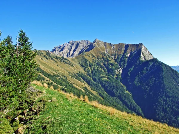 ラテコン国境のアルプスの山塊またはラテコン グレンズマスヴ マインフェルドの絵のようなピークの眺め カントン グリソンズ グラウビュデンデンまたはグラウビュデンデン スイス — ストック写真