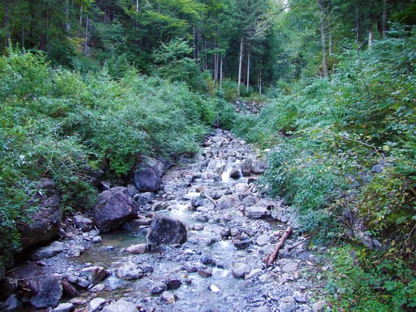 Potok Pod Kanionem Guschatobel Granicą Ratikonem Masyw Górski Lub Raetikon — Zdjęcie stockowe