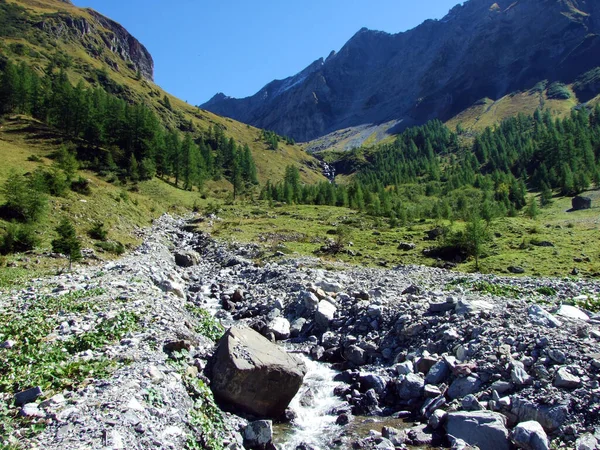 Torrential Stream Guschatobel Canyon Ratikon Border Alpine Mountain Massif Raetikon — Φωτογραφία Αρχείου