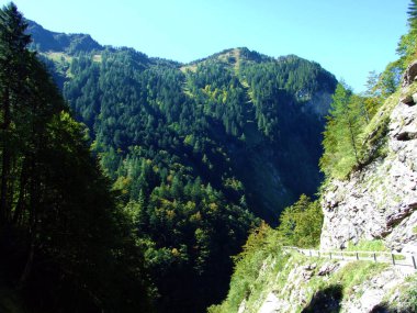 Ratikon sınırındaki Guschatobel Kanyonu, Alp Dağı kütlesi veya Raetikon Grenzmassiv, Mainfeld - Grisonlar Kantonu (Graubunden veya Graubuenden), İsviçre