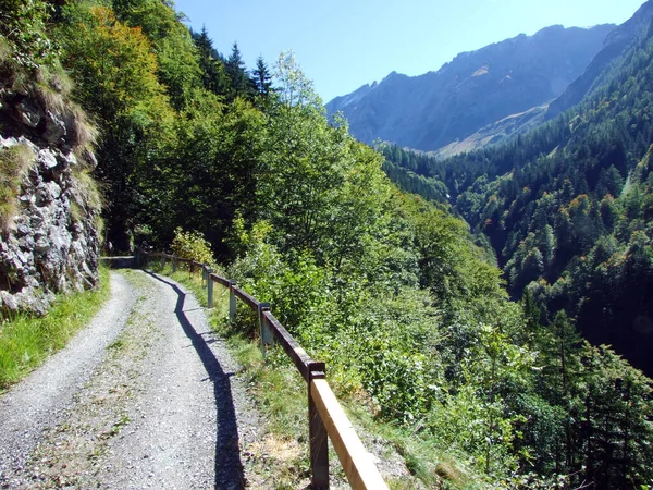 스위스 레이티 국경에 구부러진 사슴뿔 알프스산맥의 라에티 수많은 Graubunden Graubuenden — 스톡 사진