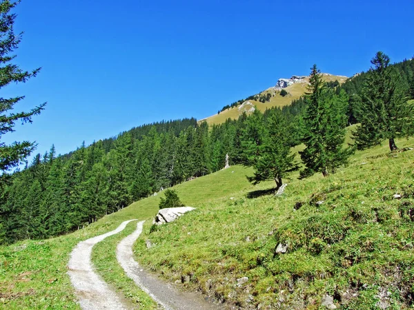 Senderismo Marcado Senderos Para Caminar Macizo Montaña Fronterizo Ratikon Raetikon —  Fotos de Stock