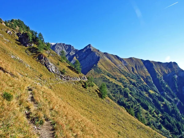 Markierte Wander Und Spazierwege Grenzbergmassiv Ratikon Oder Raetikon Grenzmassiv Mainfeld — Stockfoto