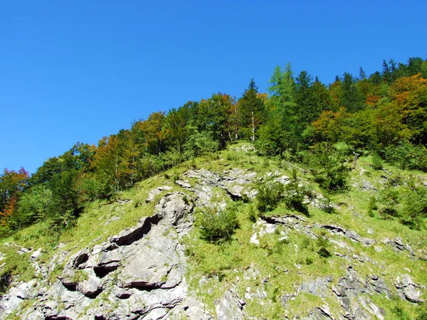 Μικτά Δάση Και Αραιωμένα Δέντρα Στις Πλαγιές Του Ορεινού Ορεινού — Φωτογραφία Αρχείου
