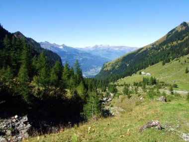 Ratikon sınır dağ kütlesi veya Raetikon, Mainfeld - Grisonlar Kantonu (Graubunden veya Graubuenden) yamaçlarındaki Evergreen ormanı veya kozalaklı ağaçlar, İsviçre
