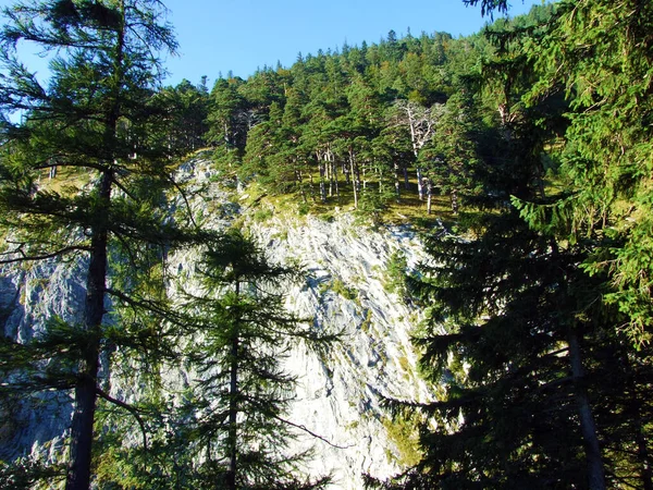 Ratikon Sınır Dağ Kütlesi Veya Raetikon Mainfeld Grisonlar Kantonu Graubunden — Stok fotoğraf