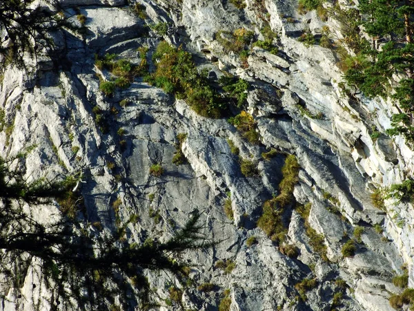 Pedras Maciço Montanhoso Alpino Fronteiriço Ratikon Ratikon Grenzmassiv Oder Raetikon — Fotografia de Stock