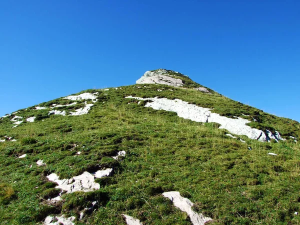 Alpin Topp Rotspitz Ratikon Gränsbergsmassivet Eller Raetikon Grenzmassiv Mainfeld Kanton — Stockfoto