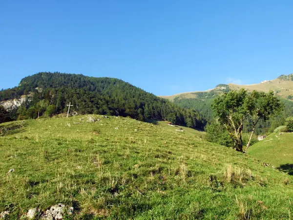 瑞士里森 格劳本登州或格劳宾登州 拉肯边境高山地块或拉肯格拉齐莫夫 奥德尔拉蒂孔 的高山牧场 — 图库照片