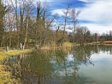 Doğa rezervi küçük Rumensee gölü veya Rumensee göleti oder Naturschutzgebiet Rumensee, Kusnacht am Zurichsee (veya Kuesnacht am Zuerichsee) - Zürih Kantonu