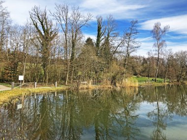 Doğa rezervi küçük Rumensee gölü veya Rumensee göleti oder Naturschutzgebiet Rumensee, Kusnacht am Zurichsee (veya Kuesnacht am Zuerichsee) - Zürih Kantonu
