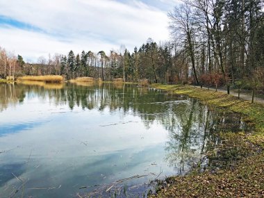 Doğa rezervi küçük Rumensee gölü veya Rumensee göleti oder Naturschutzgebiet Rumensee, Kusnacht am Zurichsee (veya Kuesnacht am Zuerichsee) - Zürih Kantonu