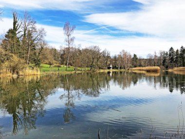 Doğa rezervi küçük Rumensee gölü veya Rumensee göleti oder Naturschutzgebiet Rumensee, Kusnacht am Zurichsee (veya Kuesnacht am Zuerichsee) - Zürih Kantonu
