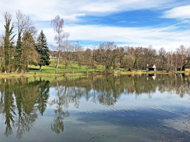 Doğa rezervi küçük Rumensee gölü veya Rumensee göleti oder Naturschutzgebiet Rumensee, Kusnacht am Zurichsee (veya Kuesnacht am Zuerichsee) - Zürih Kantonu