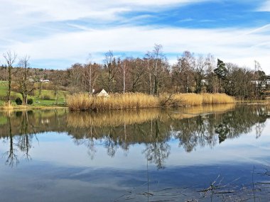 Doğa rezervi küçük Rumensee gölü veya Rumensee göleti oder Naturschutzgebiet Rumensee, Kusnacht am Zurichsee (veya Kuesnacht am Zuerichsee) - Zürih Kantonu