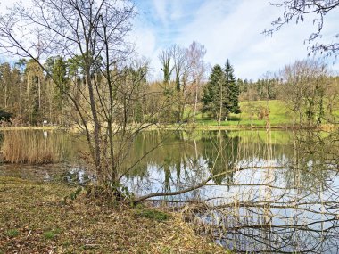 Doğa rezervi küçük Rumensee gölü veya Rumensee göleti oder Naturschutzgebiet Rumensee, Kusnacht am Zurichsee (veya Kuesnacht am Zuerichsee) - Zürih Kantonu