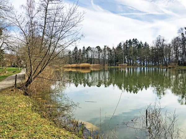 Naturreservat Liten Rumensee Sjö Eller Rumensee Damm Oder Naturschutzgebiet Rumensee — Stockfoto