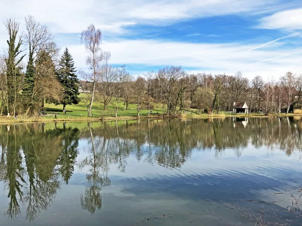 Doğa Rezervi Küçük Rumensee Gölü Veya Rumensee Göleti Oder Naturschutzgebiet — Stok fotoğraf