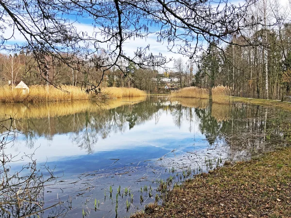 Naturreservat Liten Rumensee Sjö Eller Rumensee Damm Oder Naturschutzgebiet Rumensee — Stockfoto