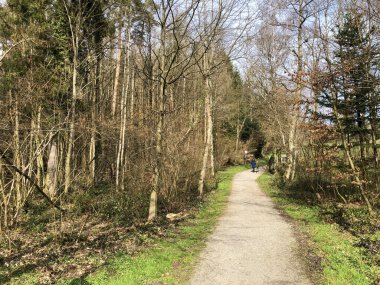 Doğada yürüyüş yolları küçük Rumensee Gölü, Kusnacht am Zurichsee (Kuesnacht am Zuerichsee) - Zürih Kantonu (Zuerich Kantonu))