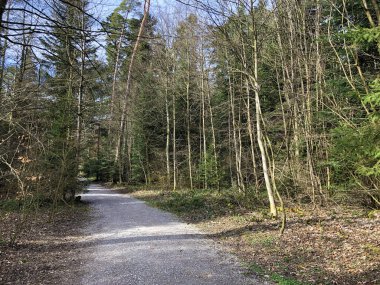 Doğada yürüyüş yolları küçük Rumensee Gölü, Kusnacht am Zurichsee (Kuesnacht am Zuerichsee) - Zürih Kantonu (Zuerich Kantonu))