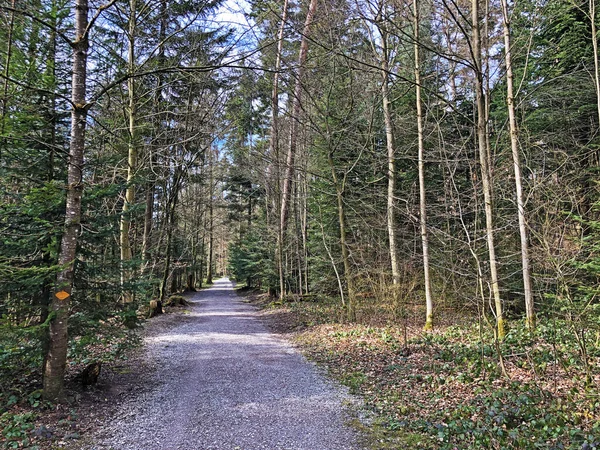 Walking trails in nature reserve small Rumensee Lake, Kusnacht am Zurichsee (Kuesnacht am Zuerichsee) - Canton of Zurich (Canton of Zuerich)