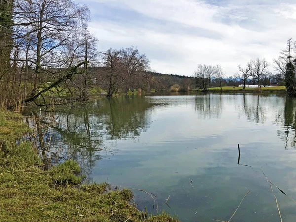 Kleiner Schubelweiher Oder Schubelweiher Kusnacht Zürichsee Kanton Zürich — Stockfoto