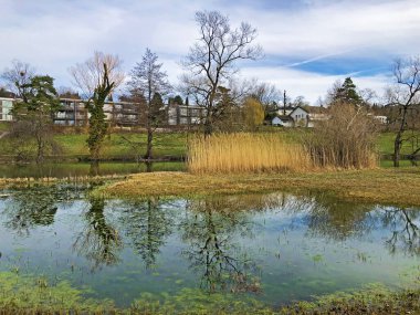 Küçük Schubelweiher Gölü (Schuebelweiher) veya Pond Schubelweiher, Kusnacht am Zurichsee (Kuesnacht am Zuerichsee) - Zürih Kantonu