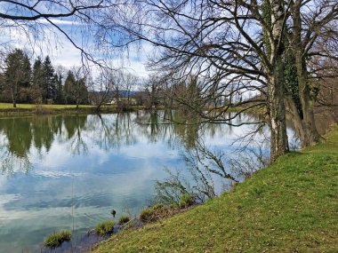 Küçük Schubelweiher Gölü (Schuebelweiher) veya Pond Schubelweiher, Kusnacht am Zurichsee (Kuesnacht am Zuerichsee) - Zürih Kantonu