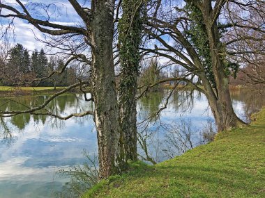 Küçük Schubelweiher Gölü (Schuebelweiher) veya Pond Schubelweiher, Kusnacht am Zurichsee (Kuesnacht am Zuerichsee) - Zürih Kantonu