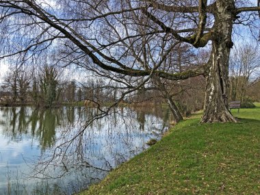 Küçük Schubelweiher Gölü (Schuebelweiher) veya Pond Schubelweiher, Kusnacht am Zurichsee (Kuesnacht am Zuerichsee) - Zürih Kantonu